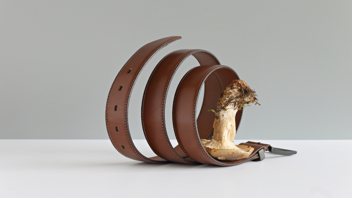 a belt made from mycelium fabric innovation
