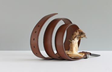 a belt made from mycelium fabric innovation